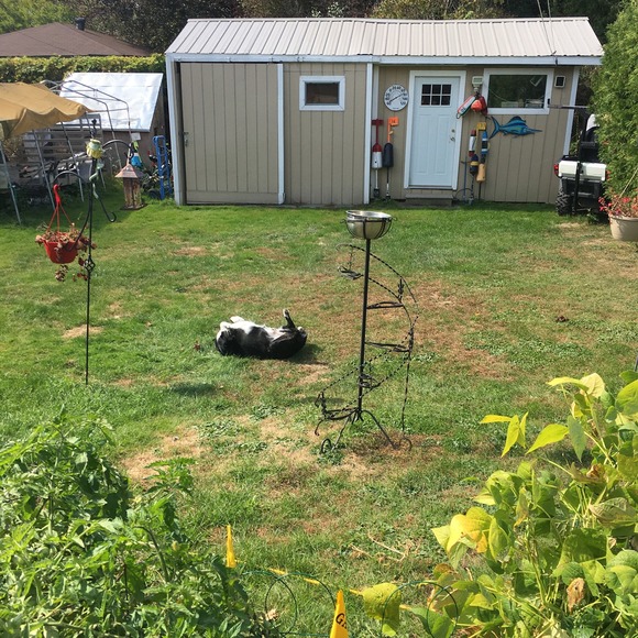 Meet your Posher, Alice - Picture 1 of 1